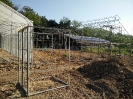 29 พ.ย.59 ความคืบหน้าของการปรับปรุงโรงเรือนทางการเกษตร