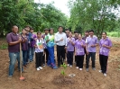 โครงการประชารัฐรวมใจปลูกป่าถวายองค์ราชา องค์ราชินี ในวันที่ 11 สิงหาคม พ.ศ.2559 ณ อาคารครุศาสตร์ เวลา 8.30-12.00น.
